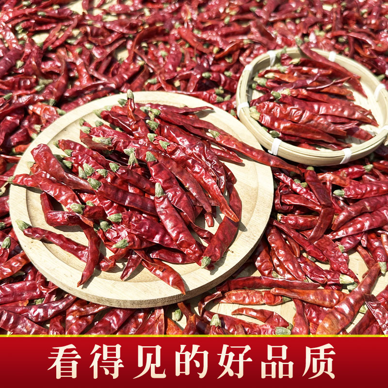 特辣特香巨辣魔鬼椒湖南手工晾晒猛辣朝天干辣椒250g印度魔鬼辣椒