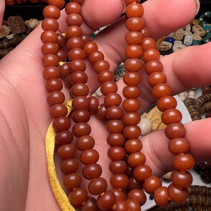 香榧木藏地密码………..