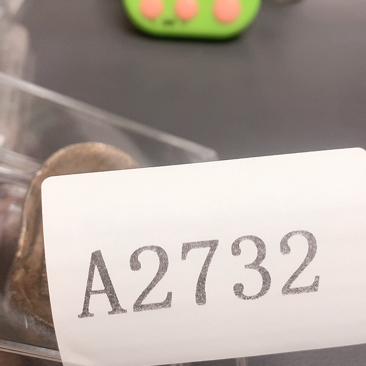 @***沈木摆件111111111111