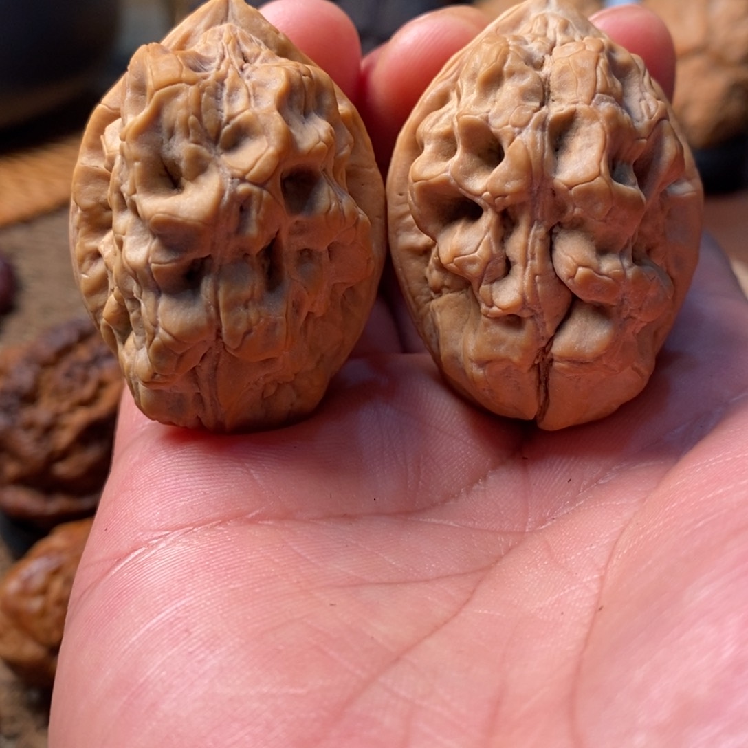 文玩核桃把件年*。蝎子