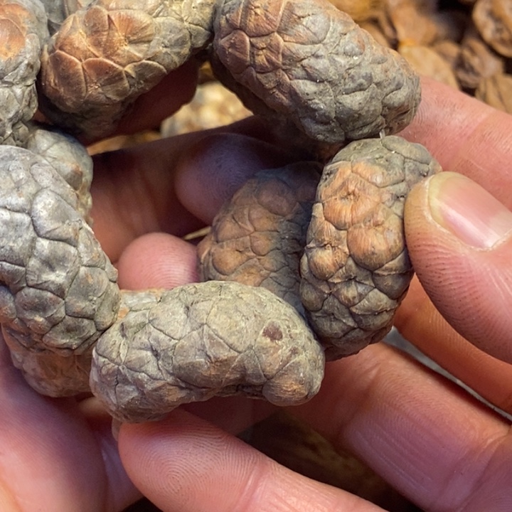 文玩核桃吊坠东北特产83