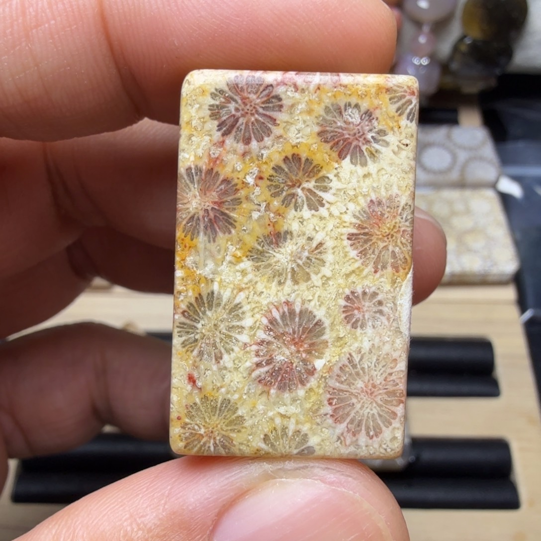 硅化玉未镶嵌天然有机玉石保真色