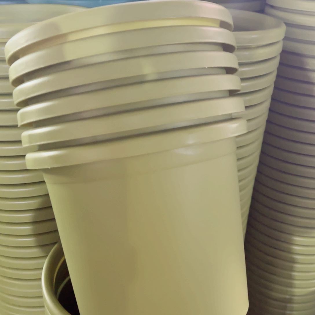 树脂特价5#无拖果绿6个