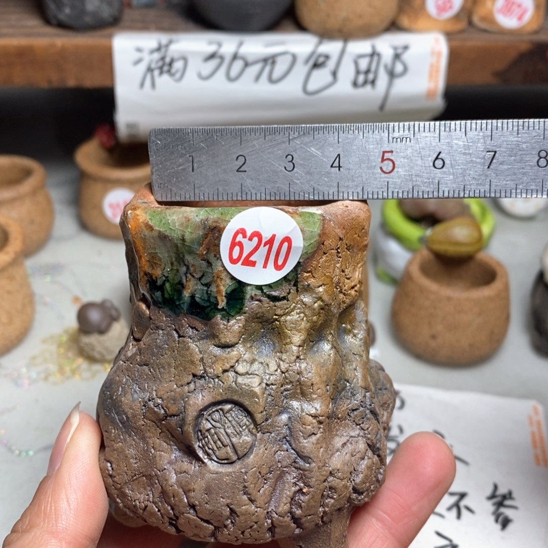 红陶拍5送一个小