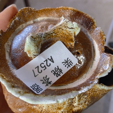 柴烧柴烧柴烧福利多多