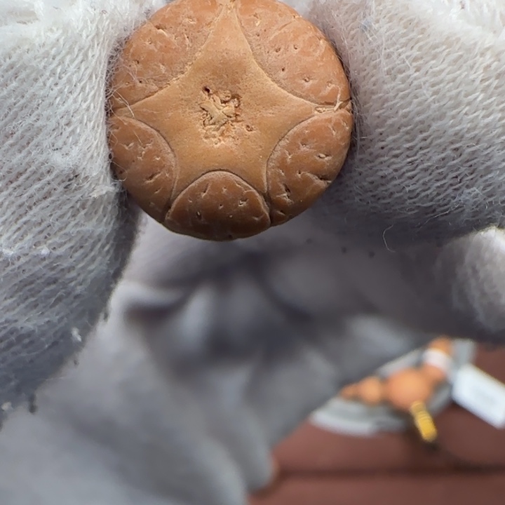 吊坠凤眼菩提，五星打孔不退不换