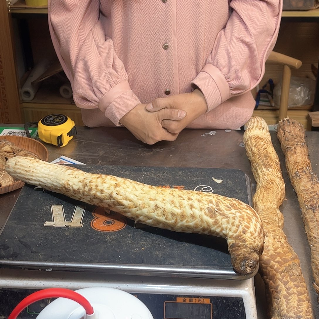 中国大陆阿拉善沙漠1.3斤43厘米