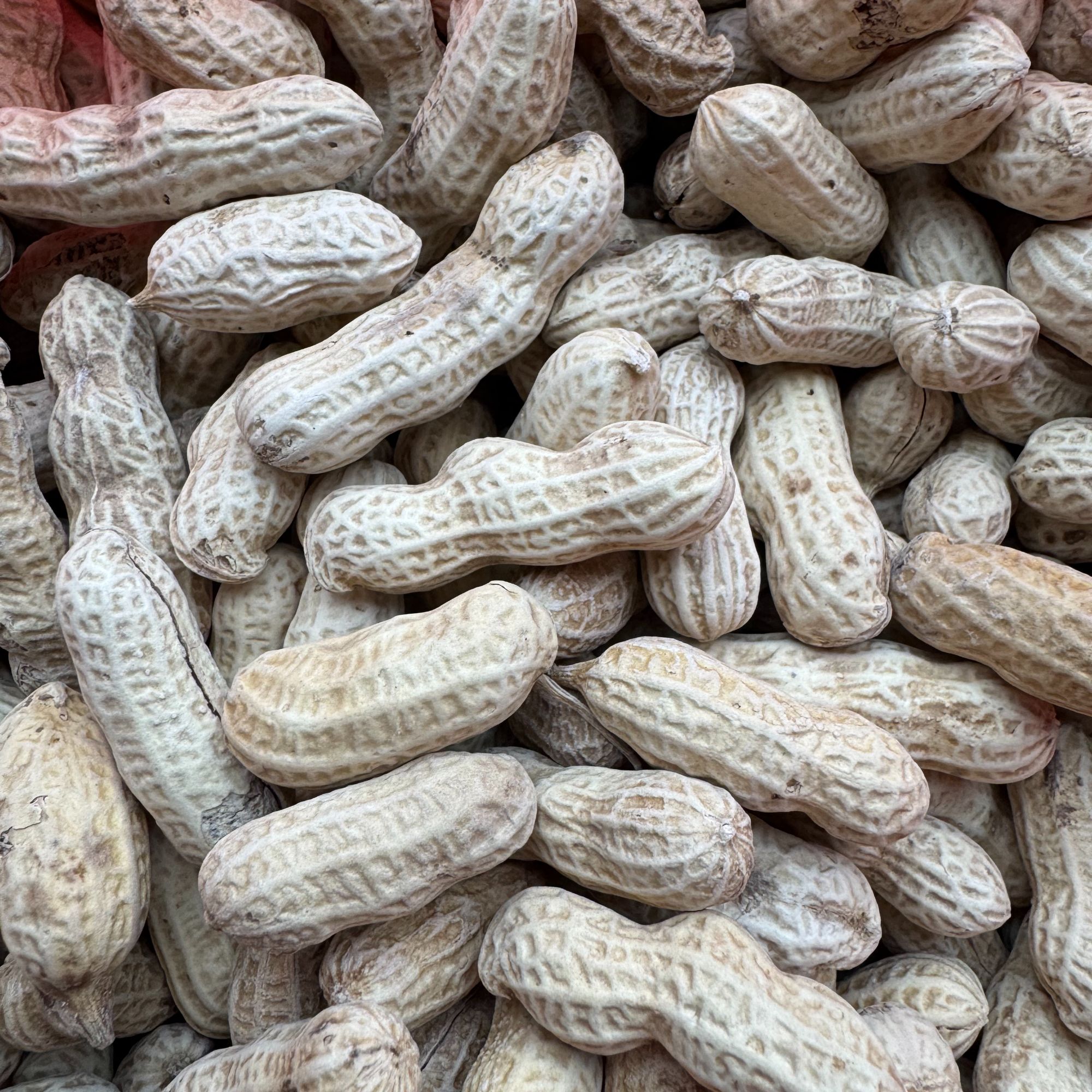 【挂榜山兄弟助农】湖南本地土花生 外地盐水花生