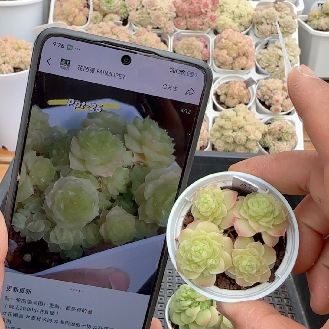 【闪购商品】0214-142（ppt-26）