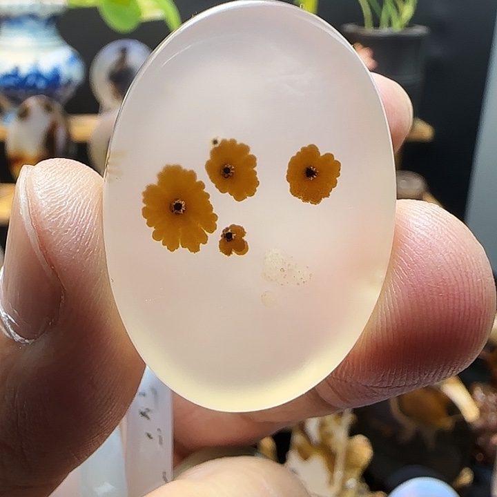 未镶嵌吊坠(不含链)玛瑙/玉髓赵**.