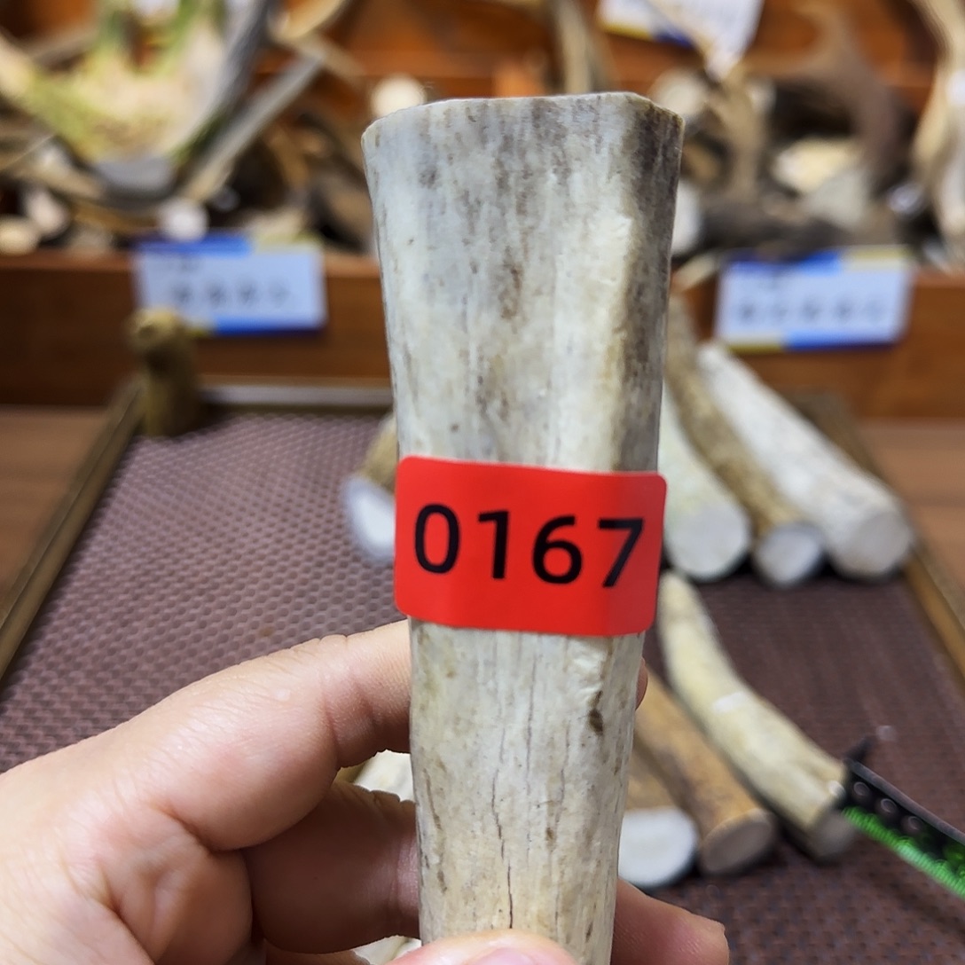 手串/手链鹿骨角尖0167