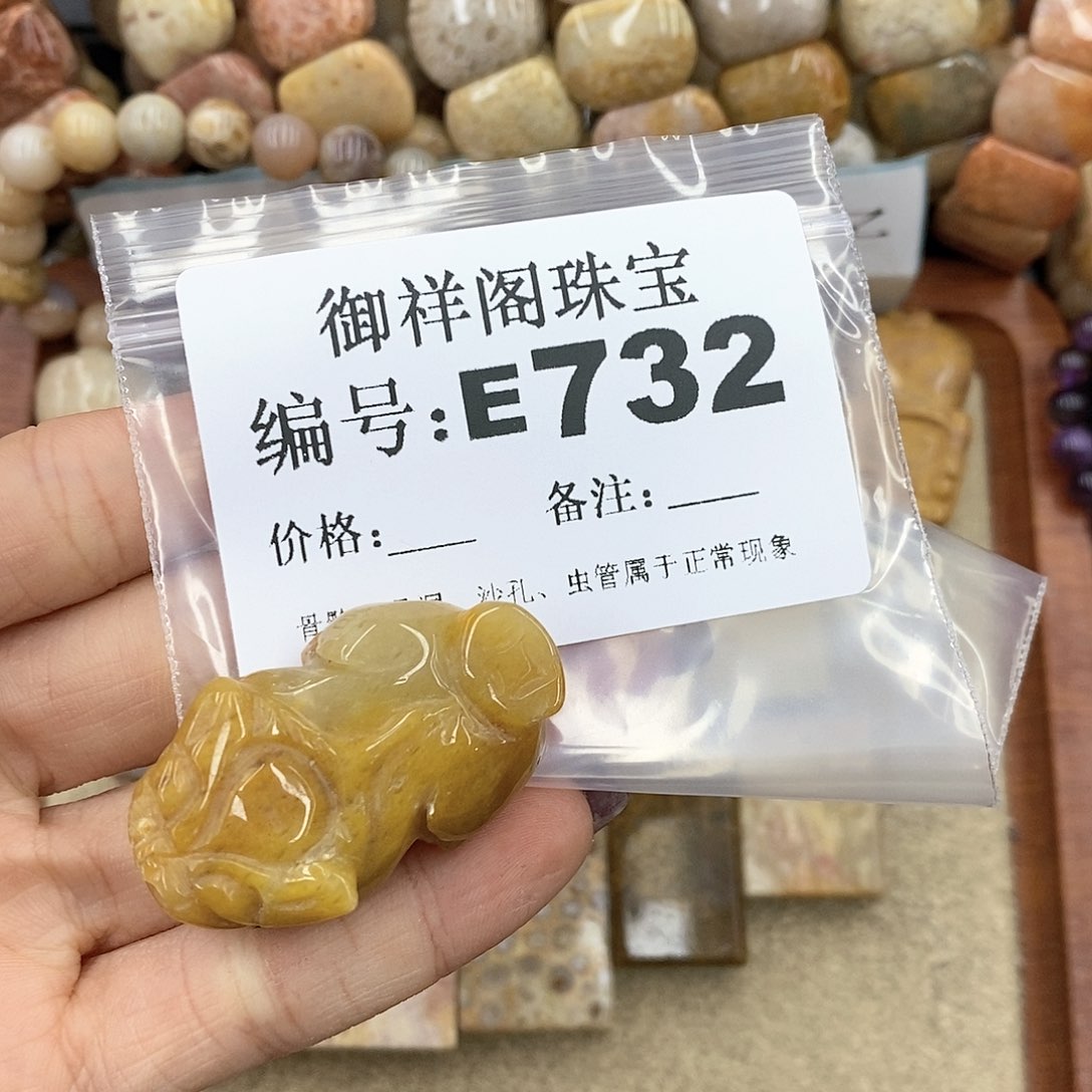 硅化珊瑚（珊瑚玉） E未镶嵌