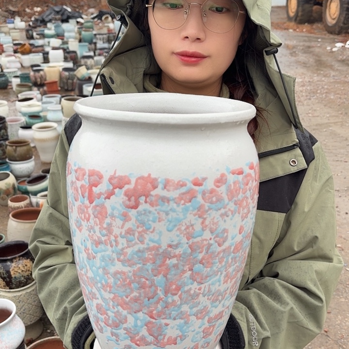 口20高30一个大的花盆