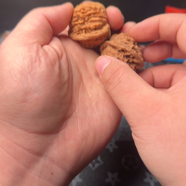 再***想大叶紫檀（黑酸枝木类）