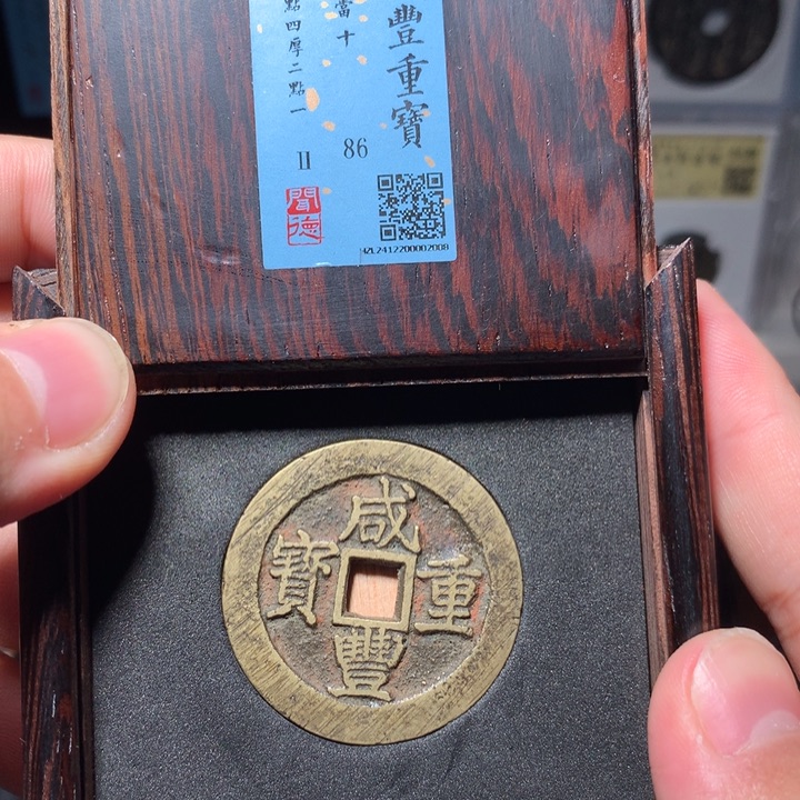 铜琳琅古泉咸丰昌十2008