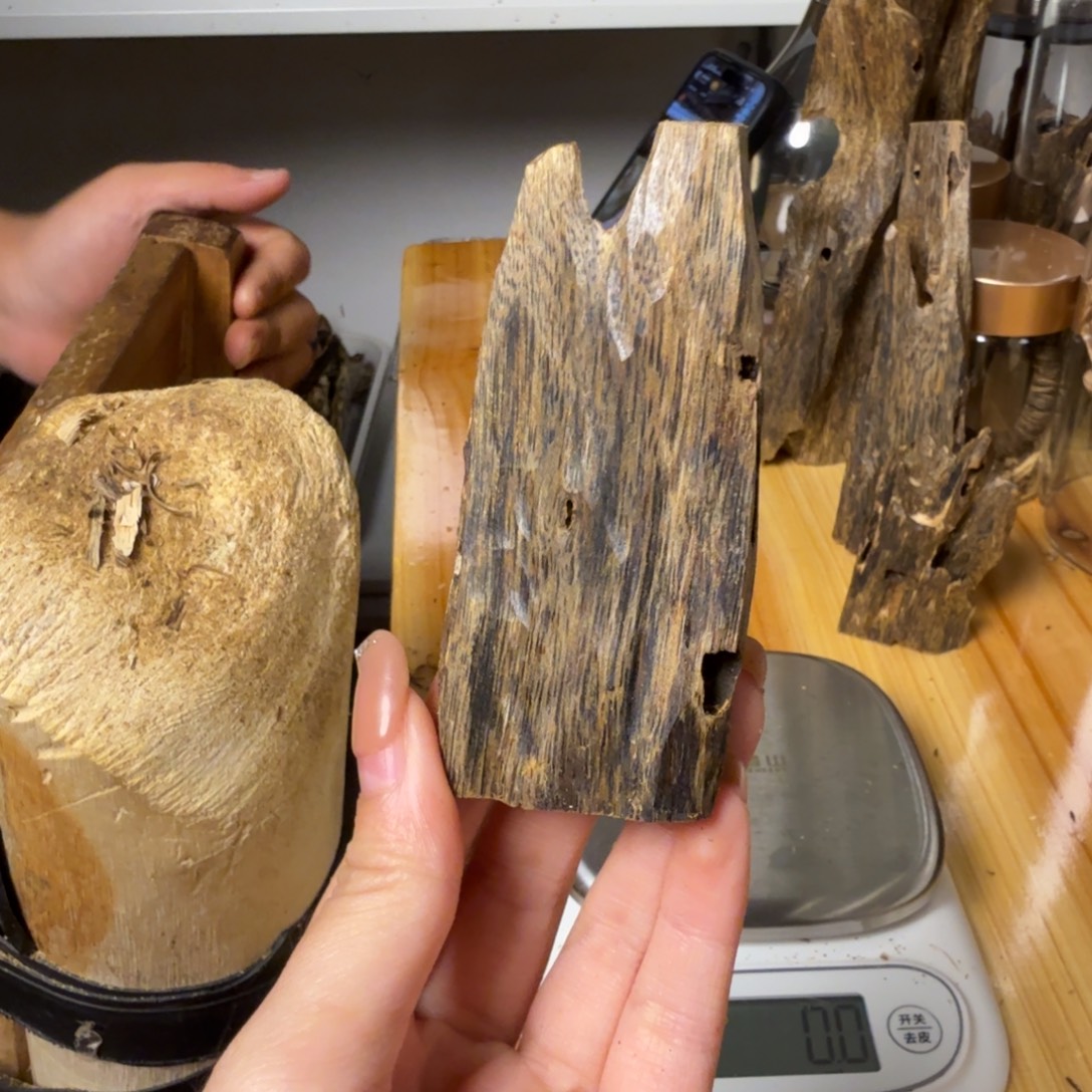 沉香白奇虫漏香17.9克