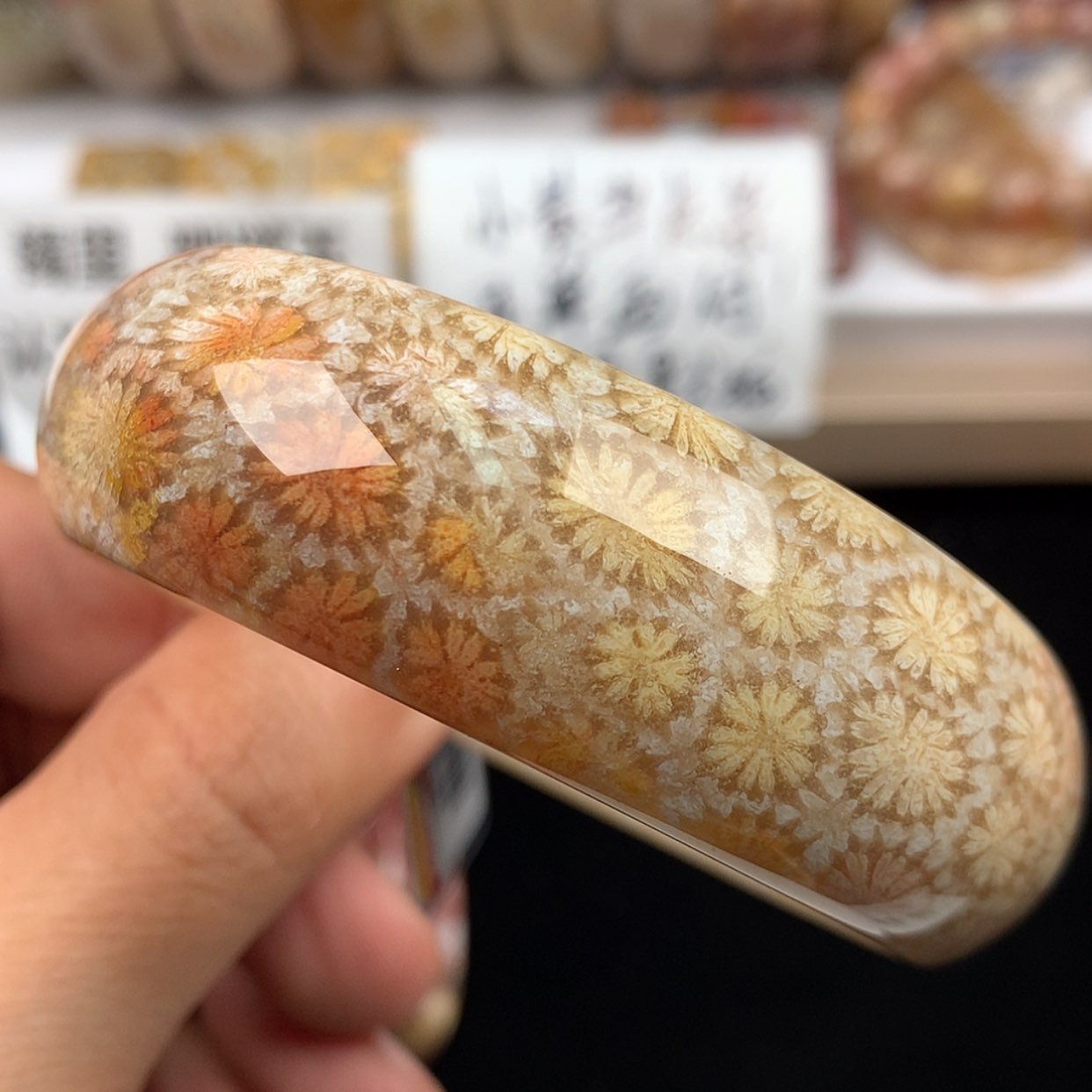 【闪购商品】硅化珊瑚（珊瑚玉）未镶嵌手镯58