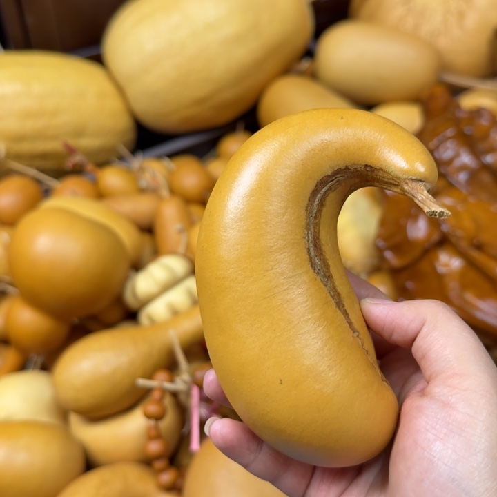 上****竹类腰子葫芦风印