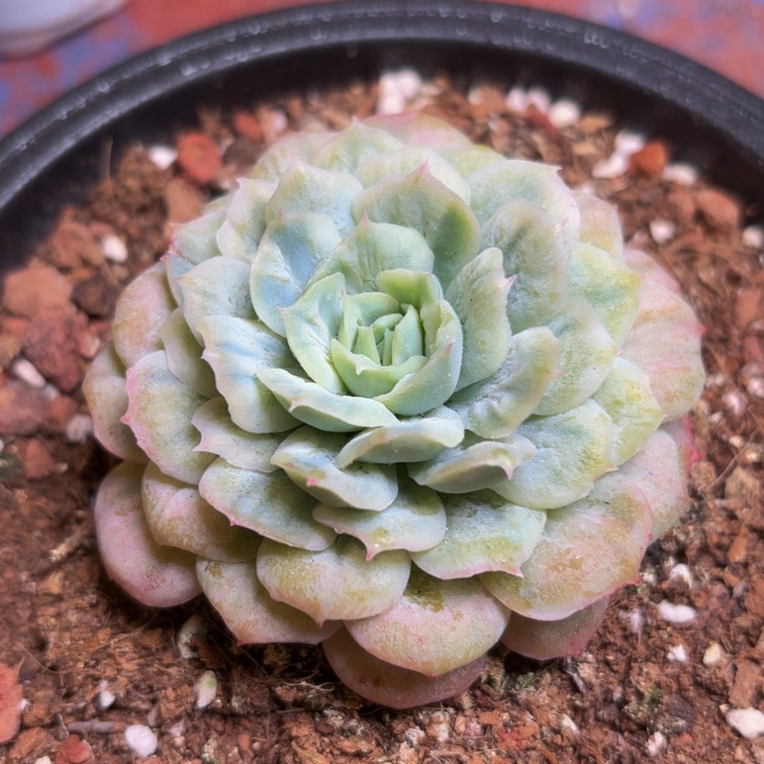 哈哈哈哈哈哈哈哈哈哈吧