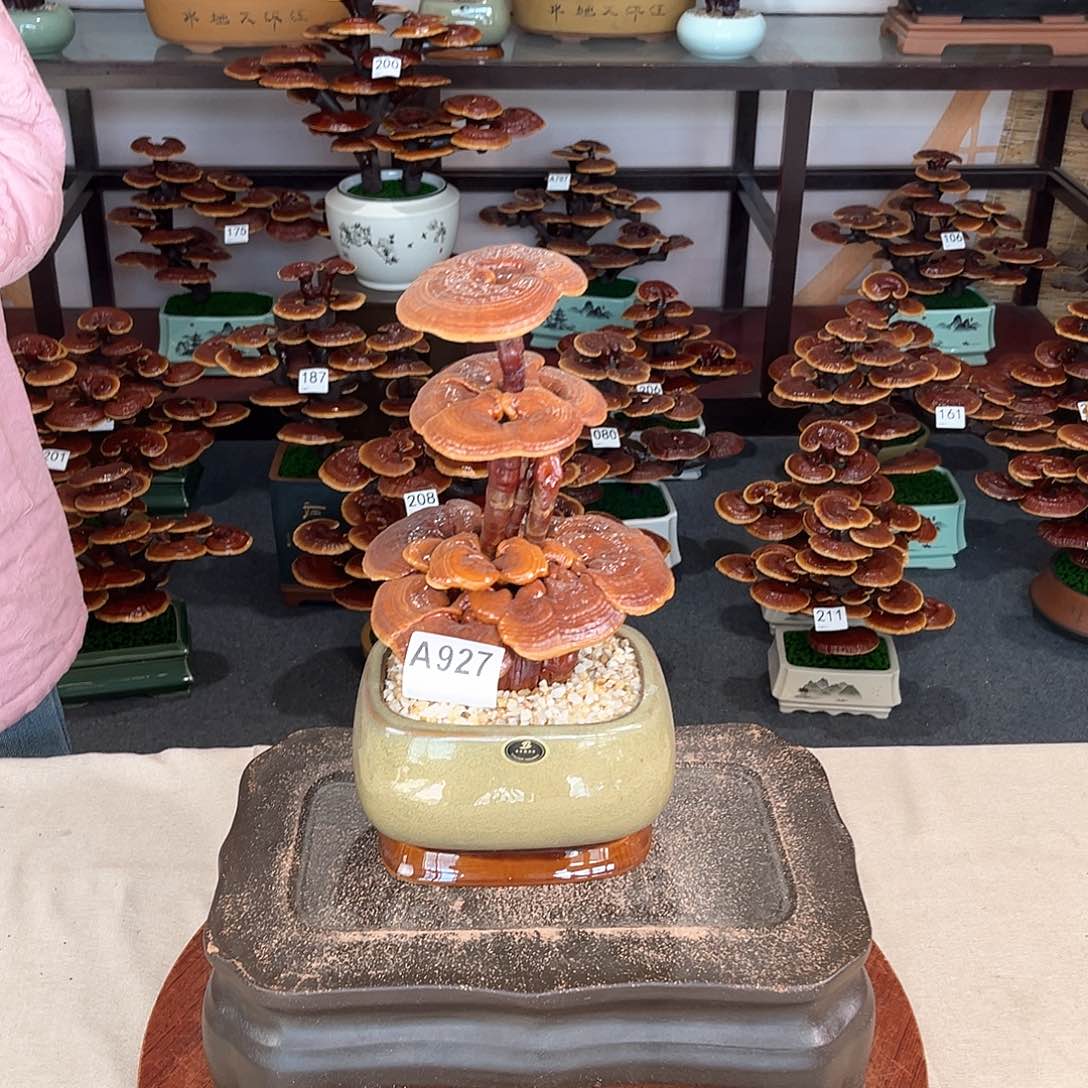 万事如意88888927