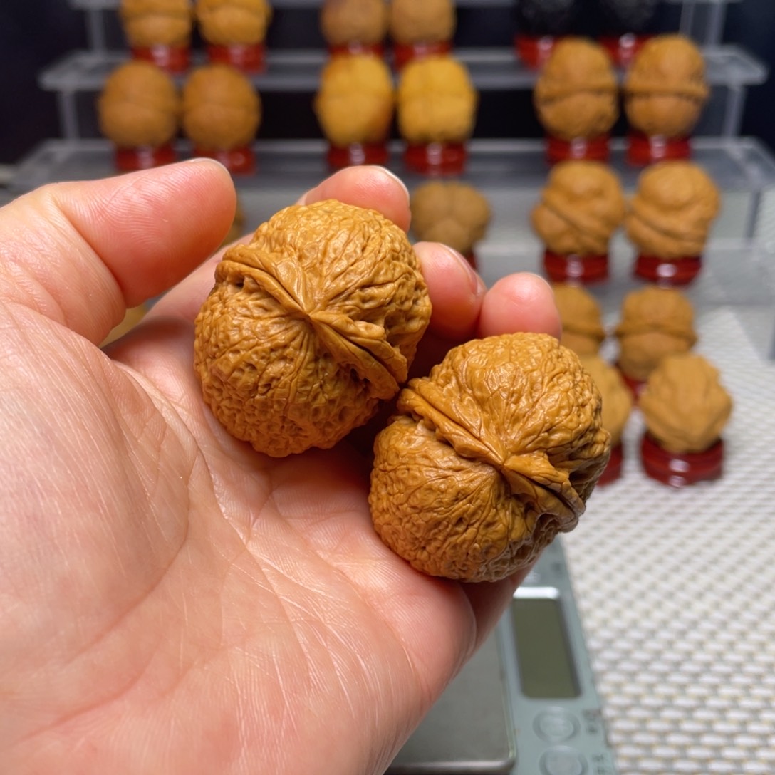 文玩核桃把件17粗筋蚂蚁塔