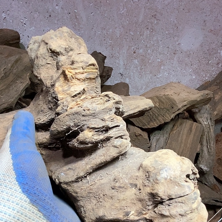 山***哥贡木把件我是不是应该在家