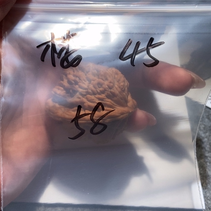 文玩核桃吊坠楼子