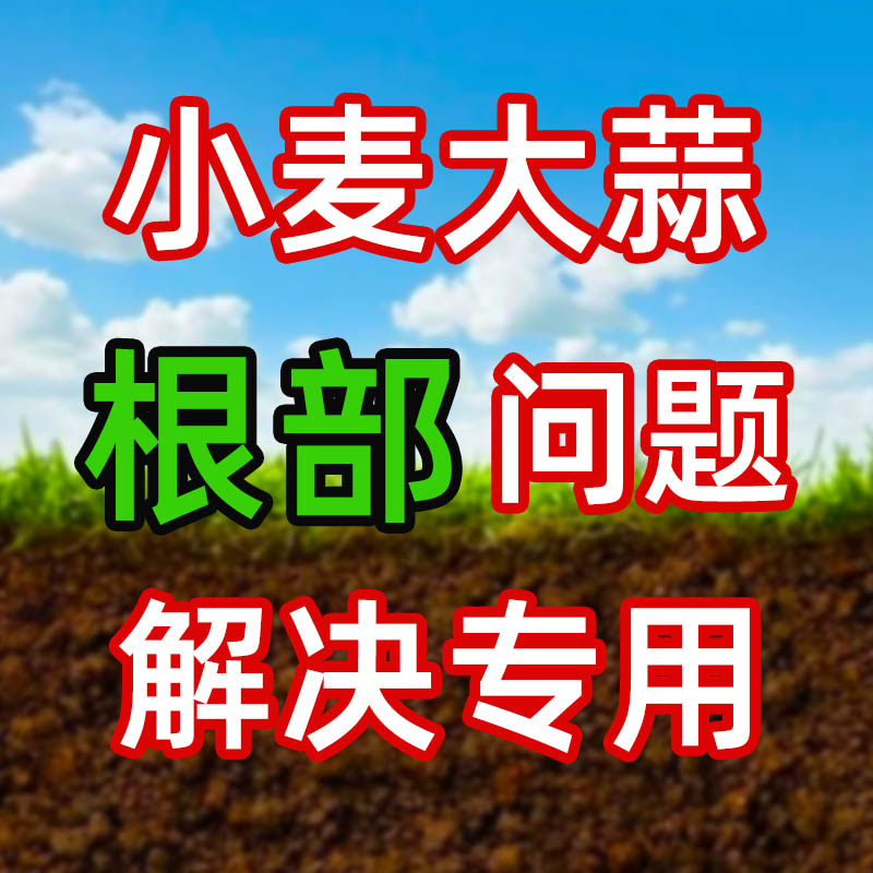 根部问题解决方案