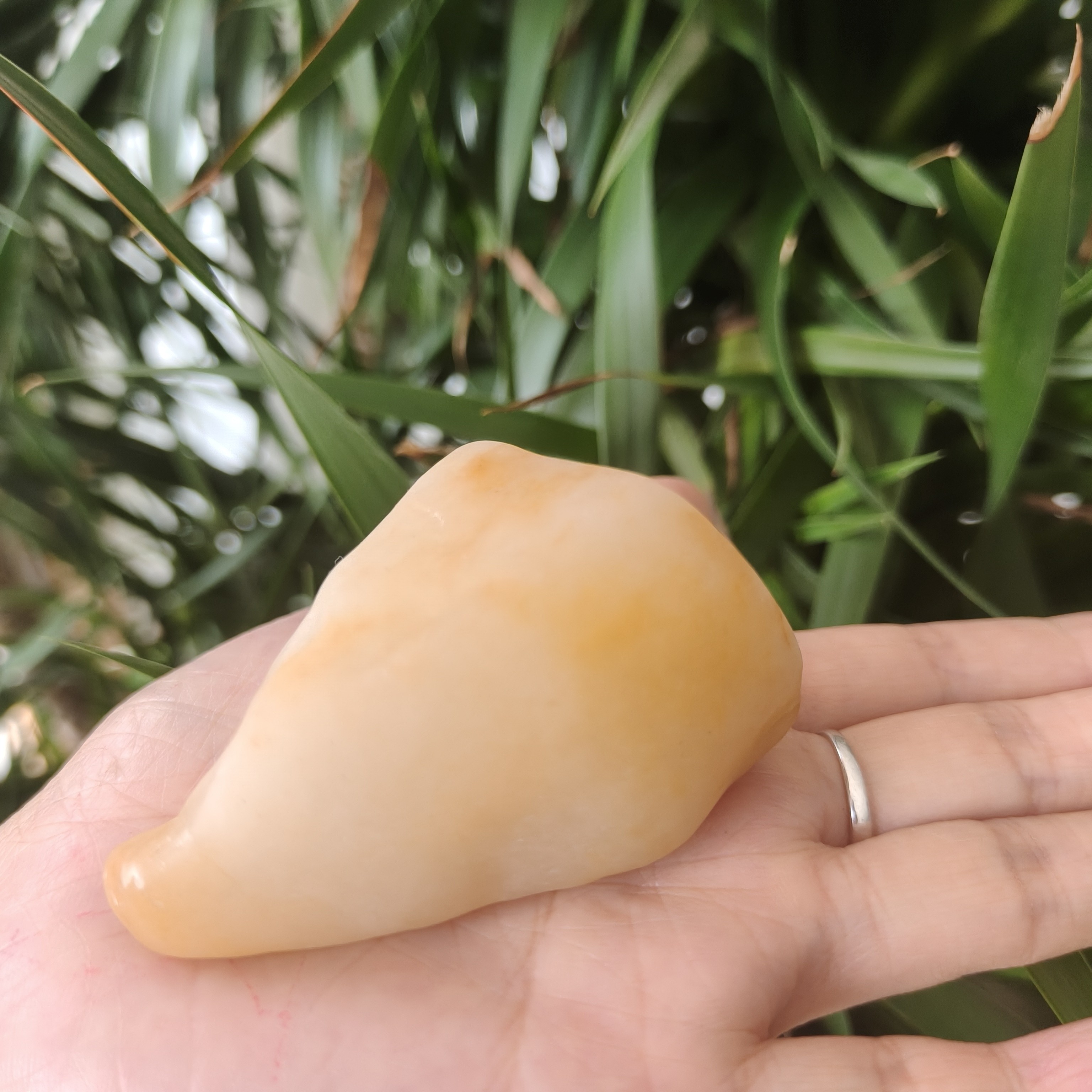 新疆戈壁五彩三彩盆景石精品