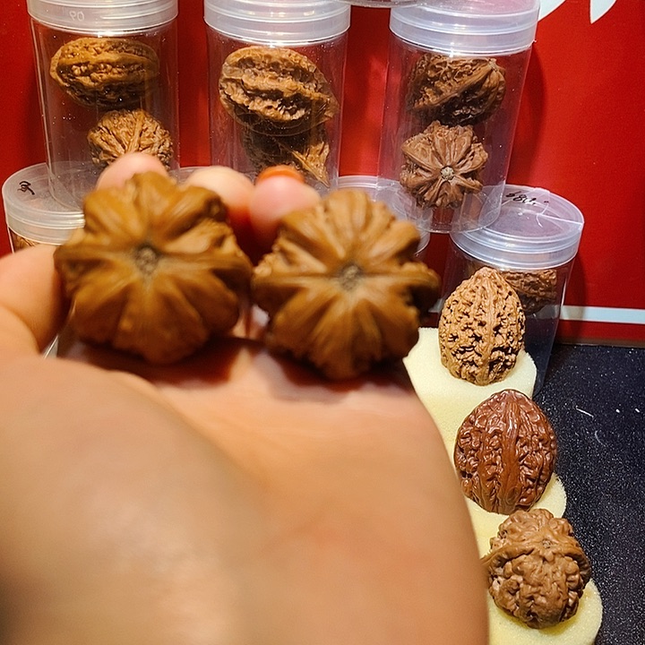 东北野生楸核桃子弹头