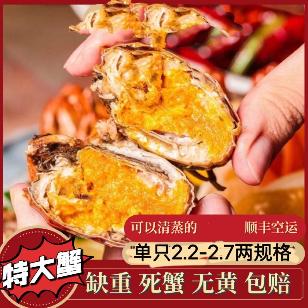 【特大蟹】辽宁薄壳蟹青蟹2.2-2.7两规格10/14只
