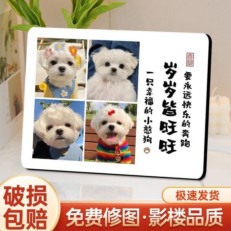 宠物款定制相框diy狗狗猫咪照片高档玄关小众长方形房间成品ins