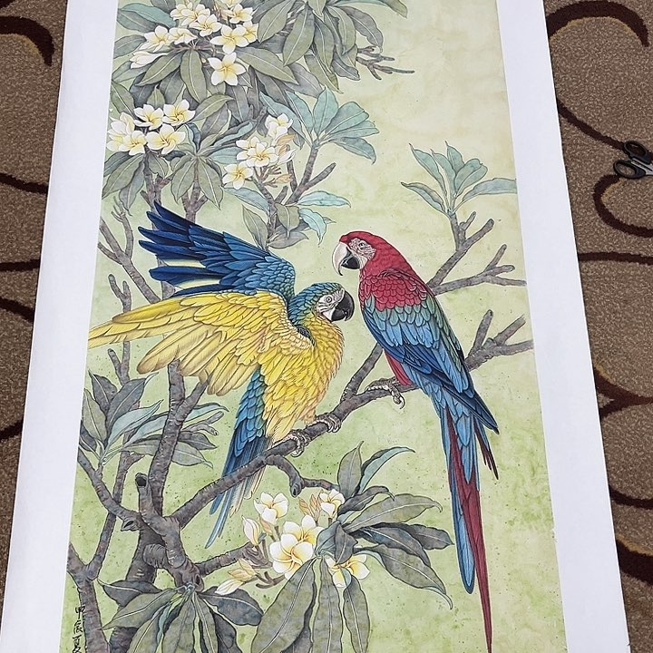 国画白**衫逄惠娟哈哈哈哈哈哈哈