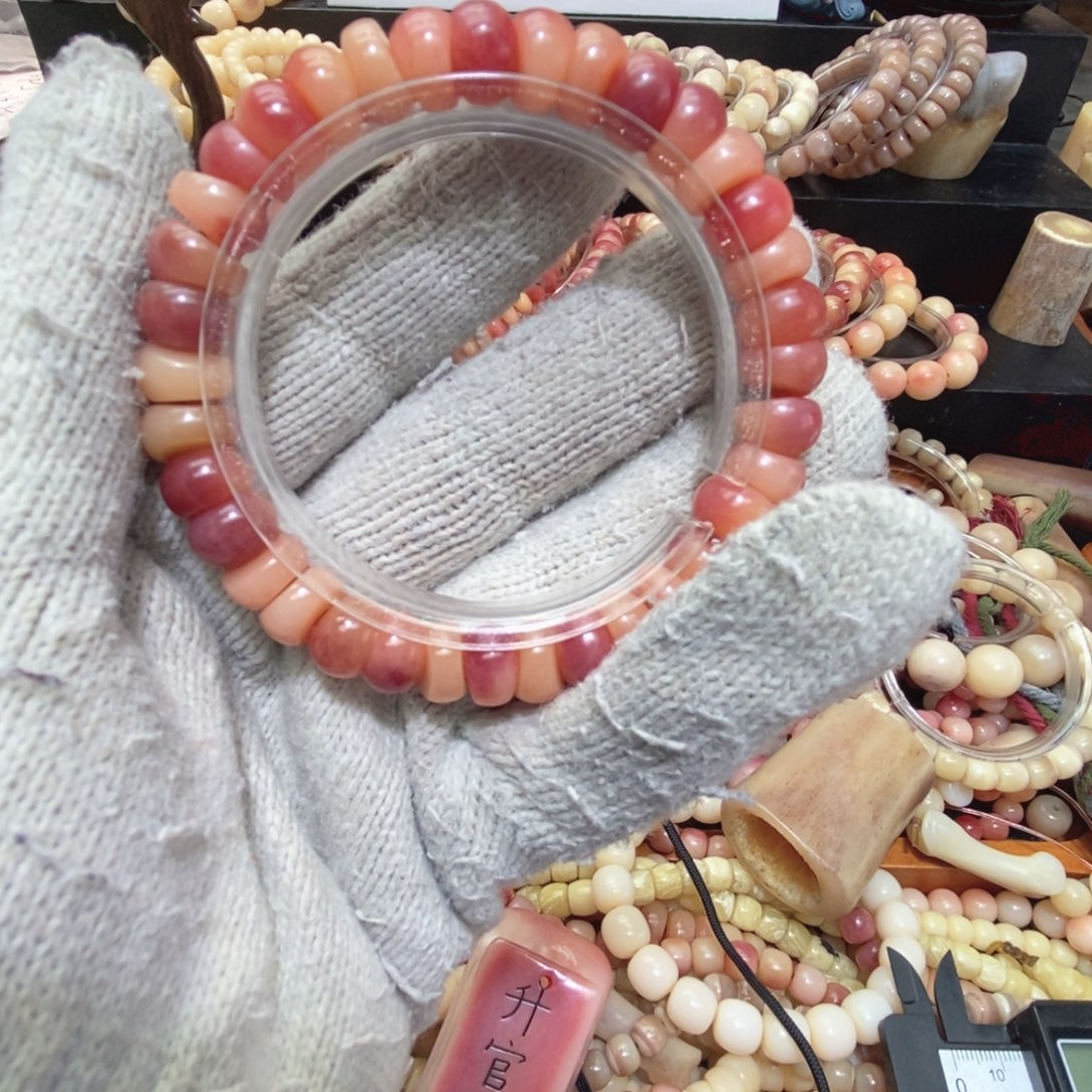 驼骨手串/手链大肠1.0