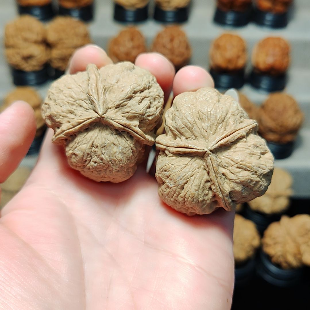 文玩核桃吊坠云铁通海三棱43尺