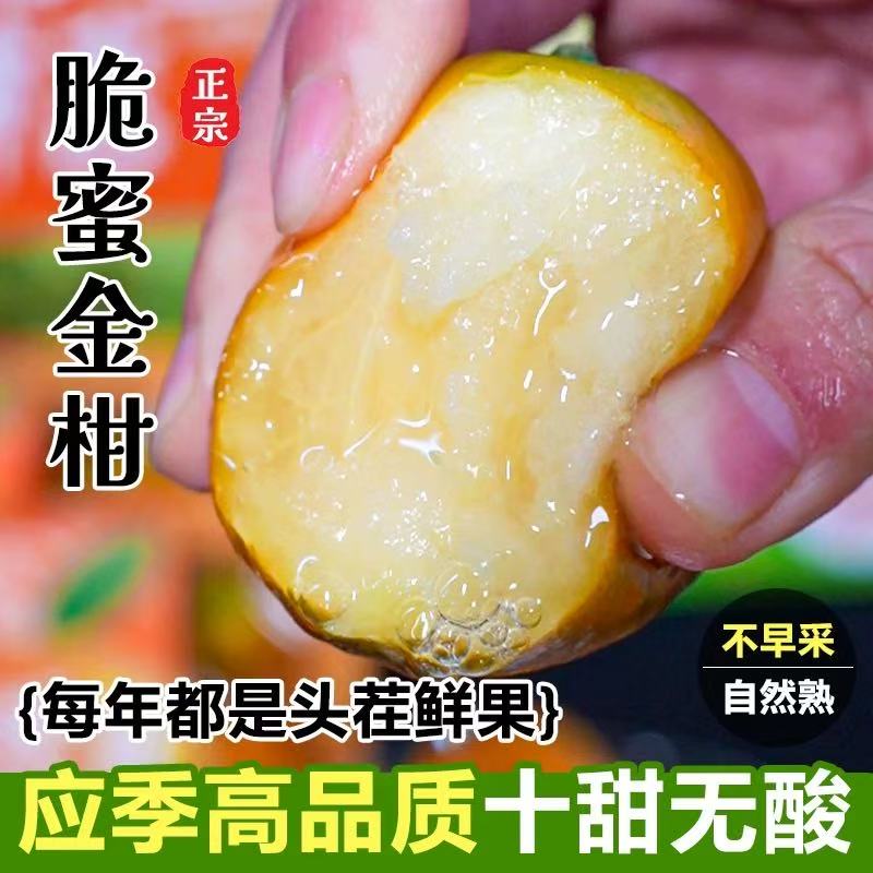 【第三代脆蜜3斤/5斤礼盒】广西融安脆蜜金桔新鲜纯甜现摘现发礼盒