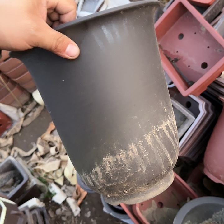 在干嘛的我也睡啦一下午你都在