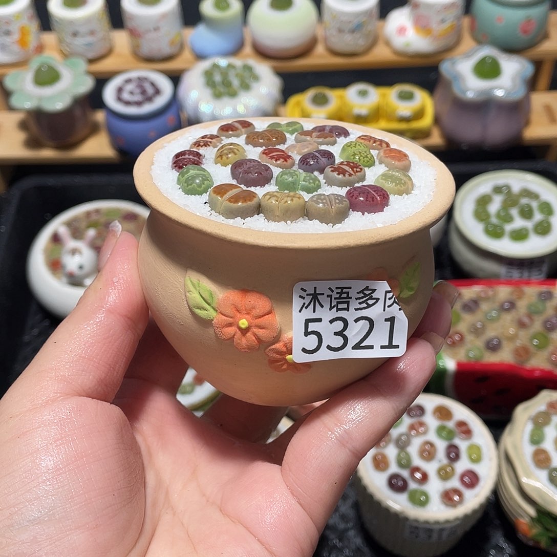 带盆土植物 一物一拍5321