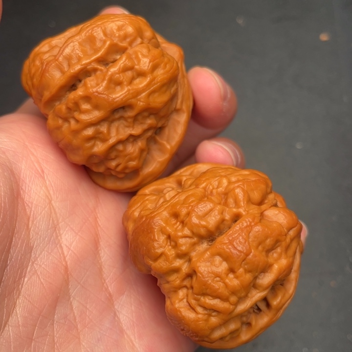 秦岭野生核桃文玩