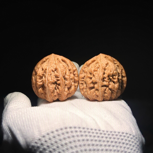 全品精对平谷大粗筋