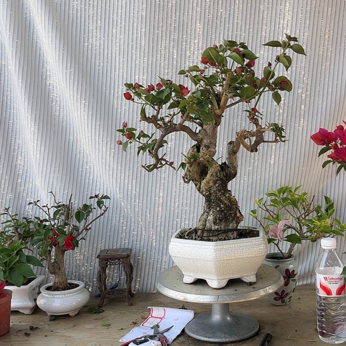 【闪购商品】完全开放@*