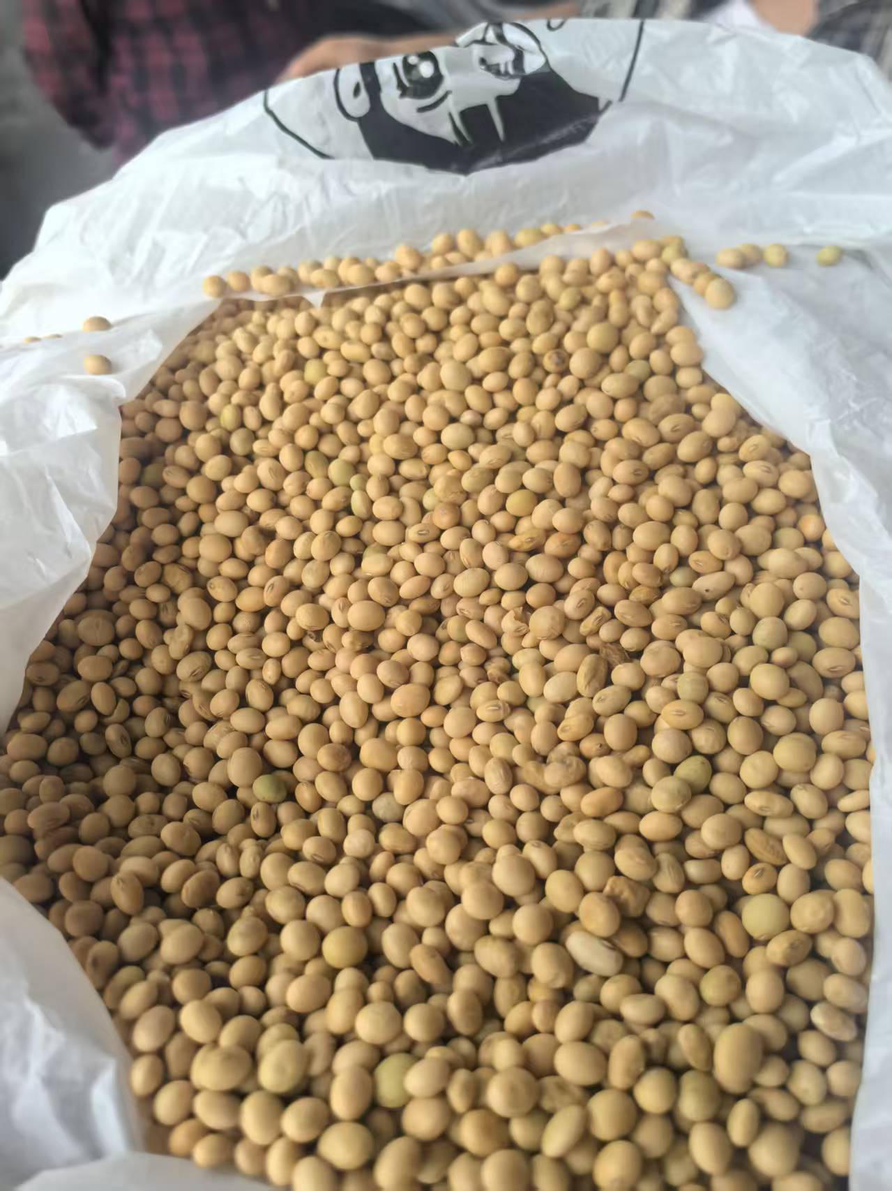 湖南农家黄豆（散装代购）