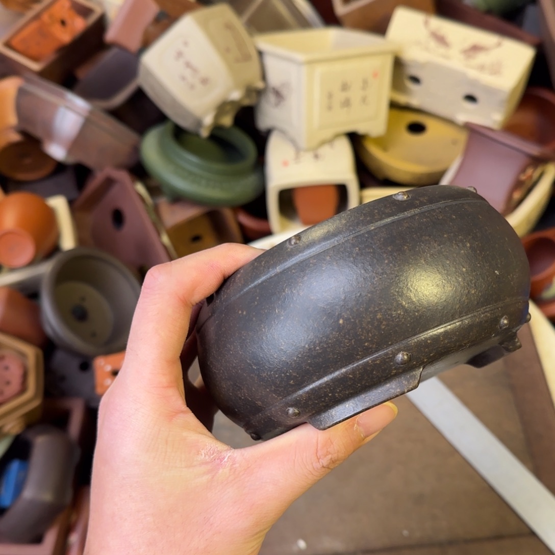 泥塑11+5.5vvvvvvvvvvvvv