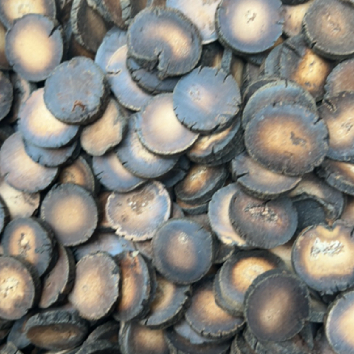 高山高海拔云南化 橘红