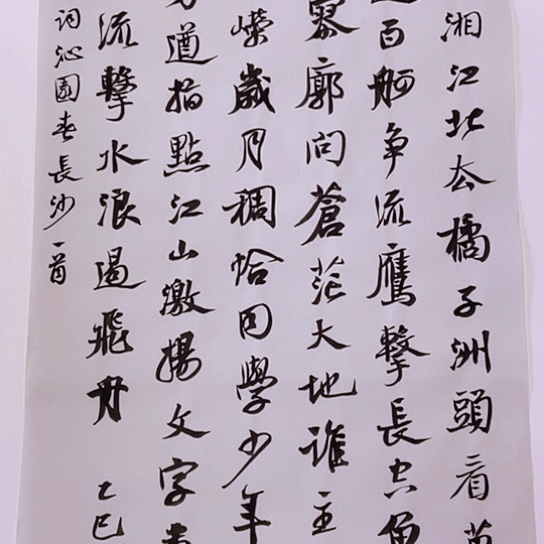 书法张建东老师书法作品