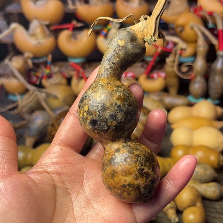 黄***！花皮葫芦局部掉皮