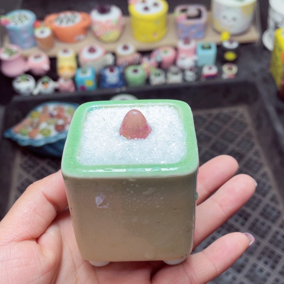 w9066 -零下地区拍保温箱-15支持寄养