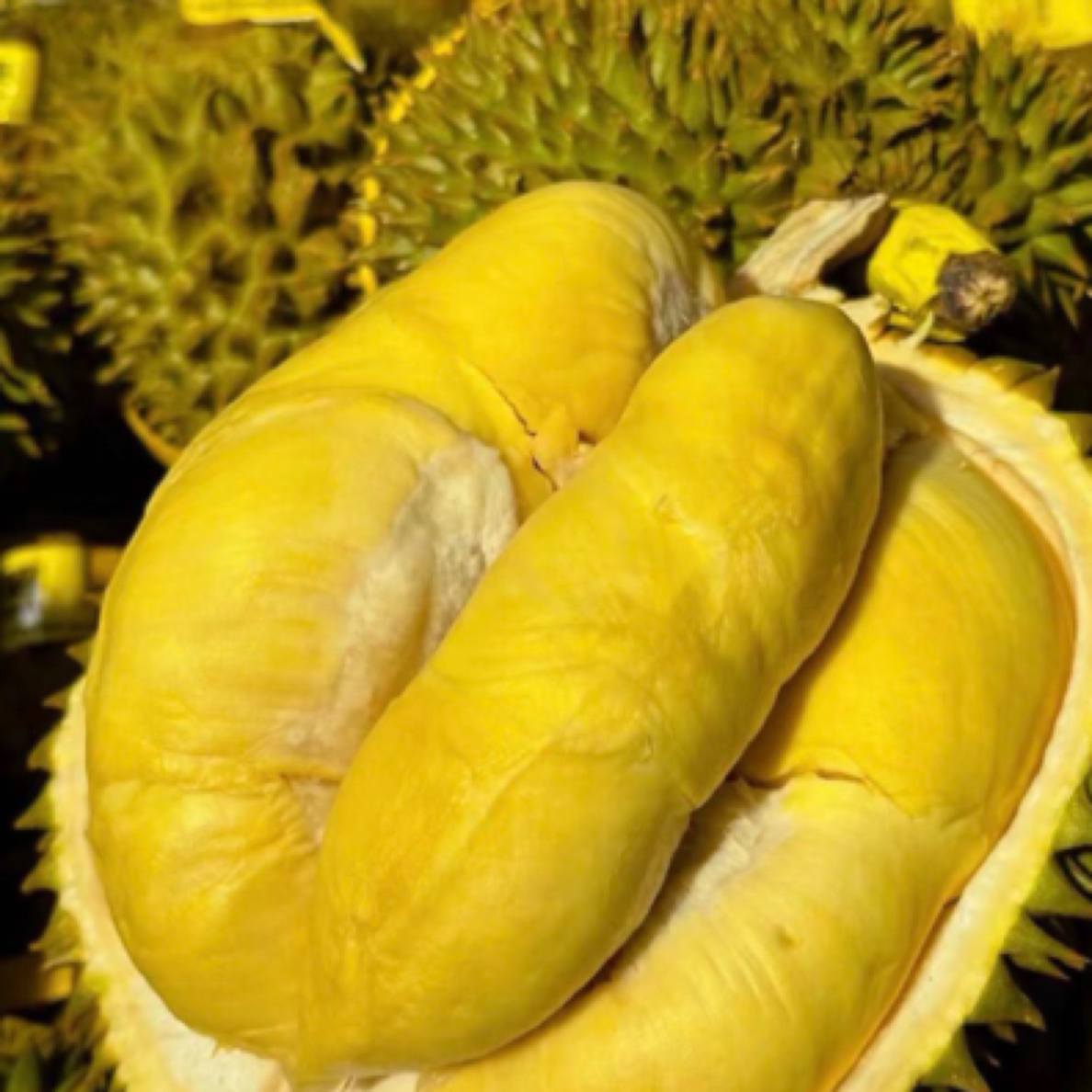 泰国金枕特价整果夹生、熟过 2～5kg 新鲜核小金枕泰国