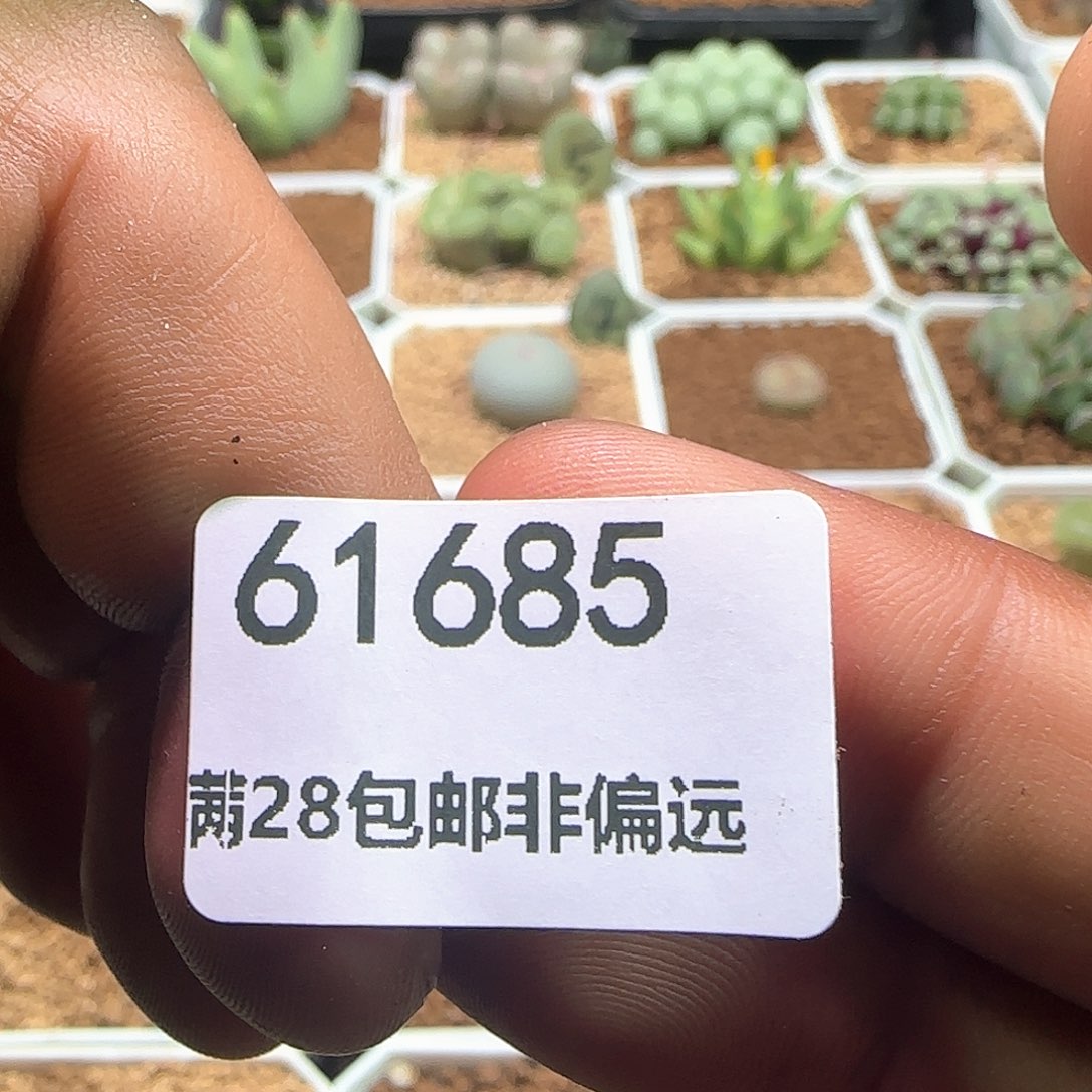 w***t哈哈哈哈哈哈哈685