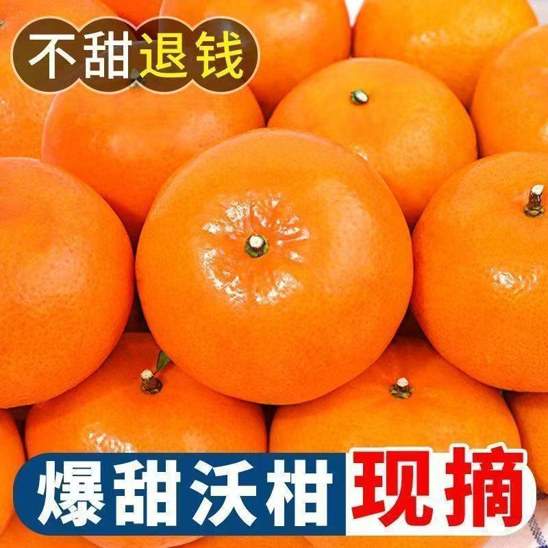 【超甜】正宗沃柑橘子新鲜水果当季桔子薄皮孕妇水果整箱非无籽